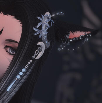 Hairpin + Adjusting Elve Ear Piercing to Miqote